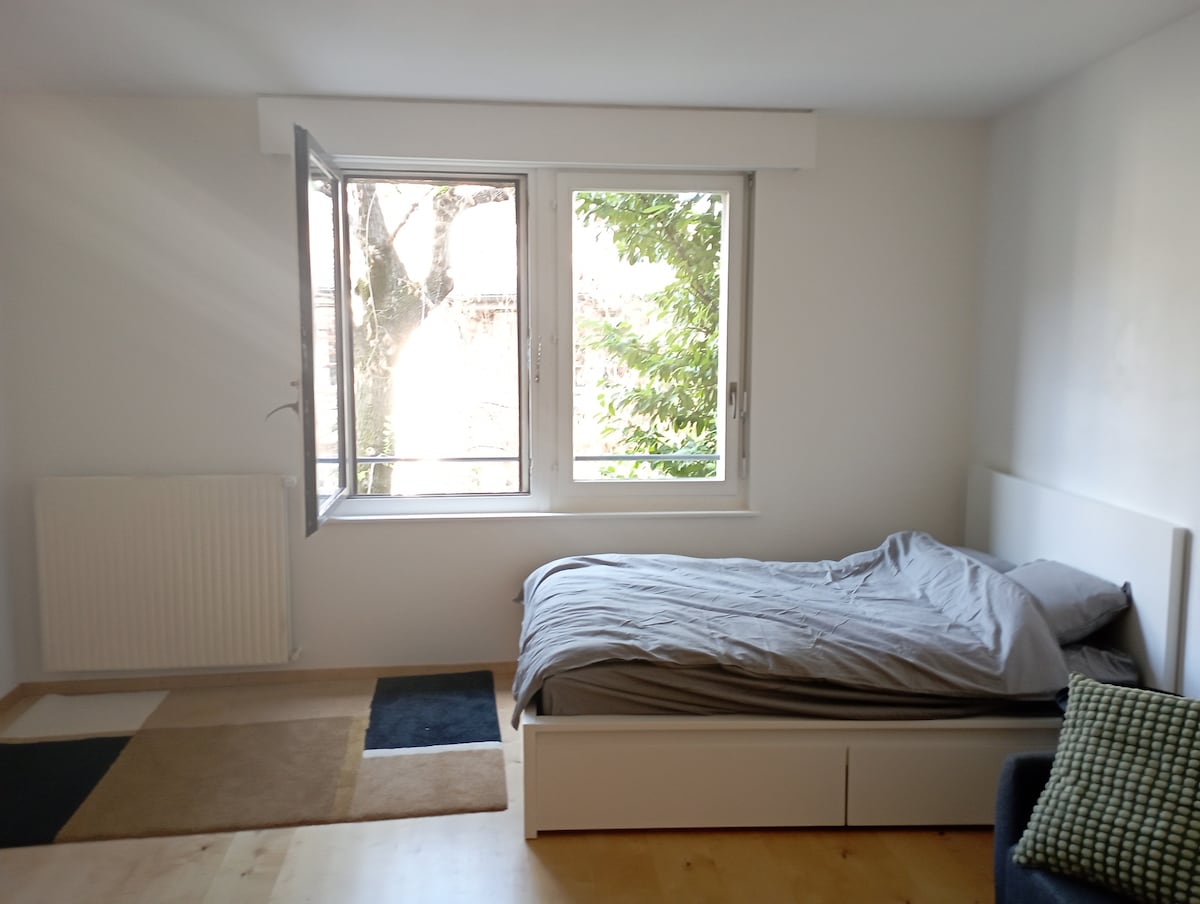 A bright bedroom features a spacious bed with light bedding, positioned beside large windows that offer views of greenery outside. Natural light fills the room, enhancing the light-colored walls and wooden flooring, complemented by a contemporary rug in various tones.
