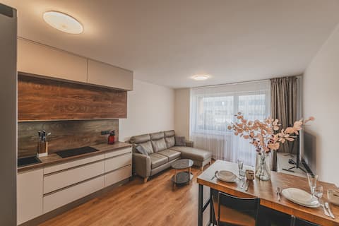 Popular Airbnb listing: Luxury Apartment U Petrofa in Hradec Králové