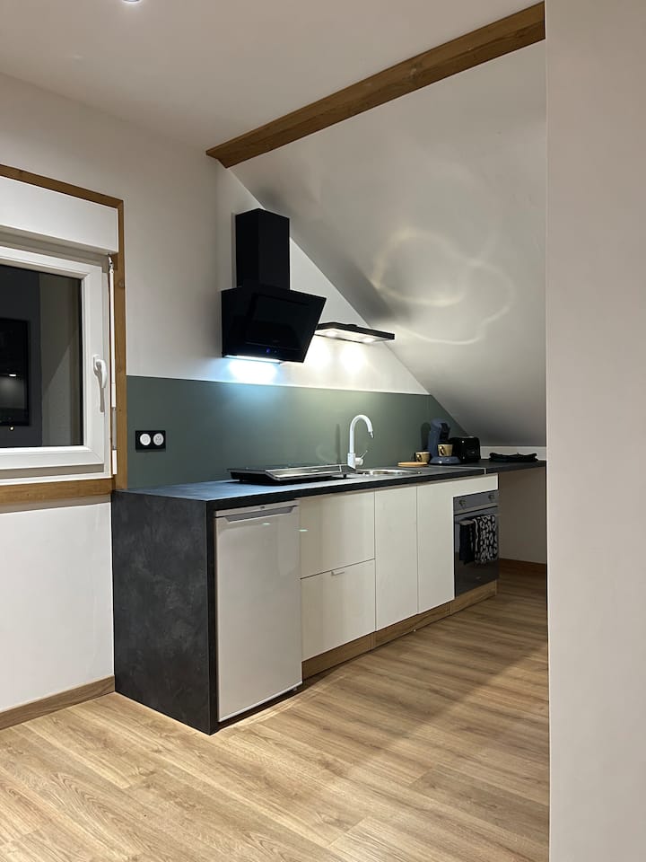 Studio Montagnard D'une Truffe - ibis budget Saint Dié des Vosges