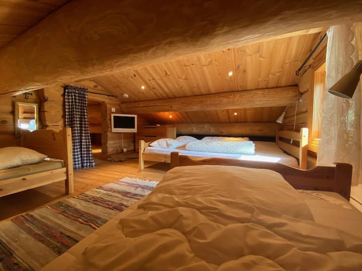 Habitación 1