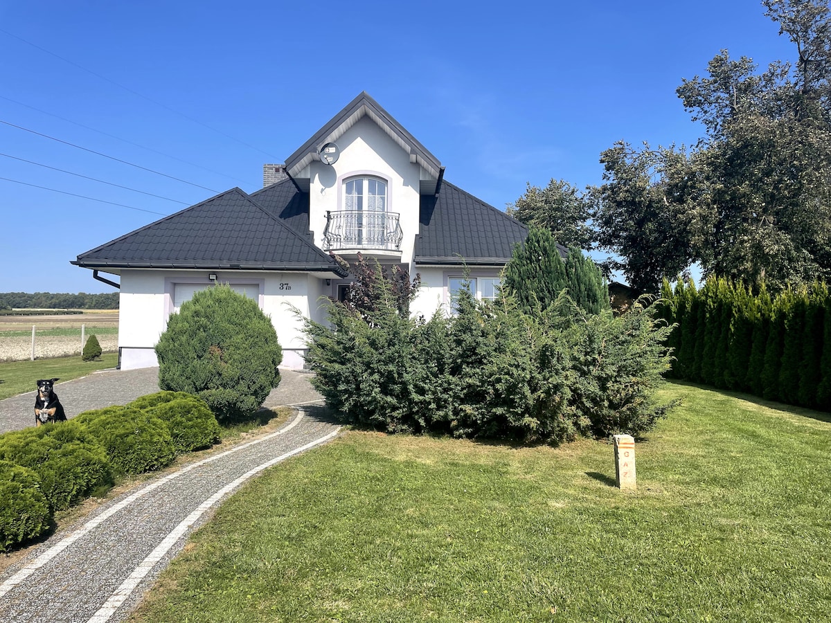 A two-story house is set within manicured greenery, featuring a sloped black roof and a charming balcony. A curved pathway meanders through the garden, leading to the front entrance, flanked by neatly trimmed bushes and tall trees, offering a sense of tranquility.