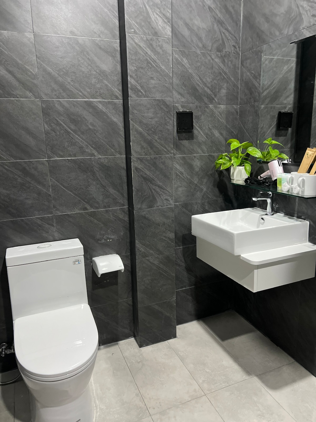 A modern bathroom features sleek gray tiles covering the walls. A white toilet is positioned next to a wall-mounted sink with a minimalistic design. Above the sink, a mirror reflects a small green plant placed on the counter, enhancing the overall aesthetic.