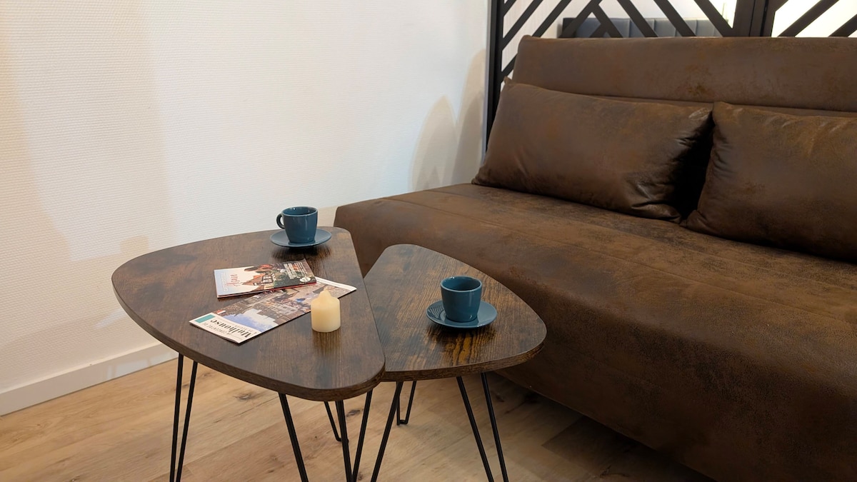 Annuncio Airbnb popolare: l'INDUS, Exceptional Accommodation a Mulhouse