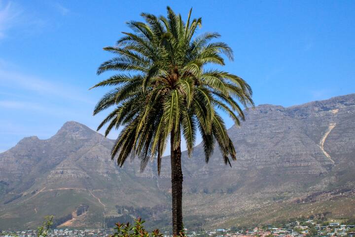 Garden in the clouds. gallery image 4