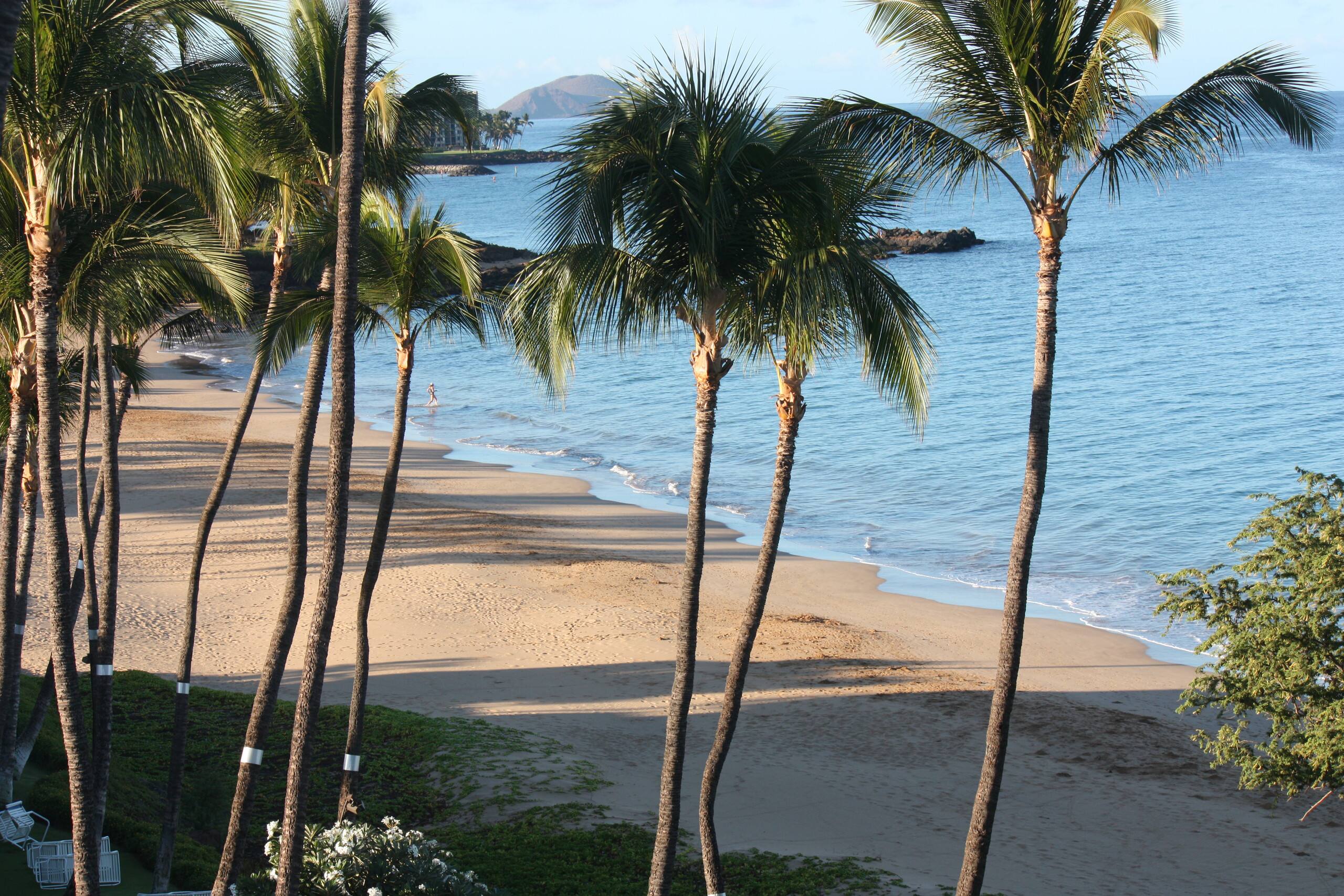 On the beach, South Maui condo - Image 21