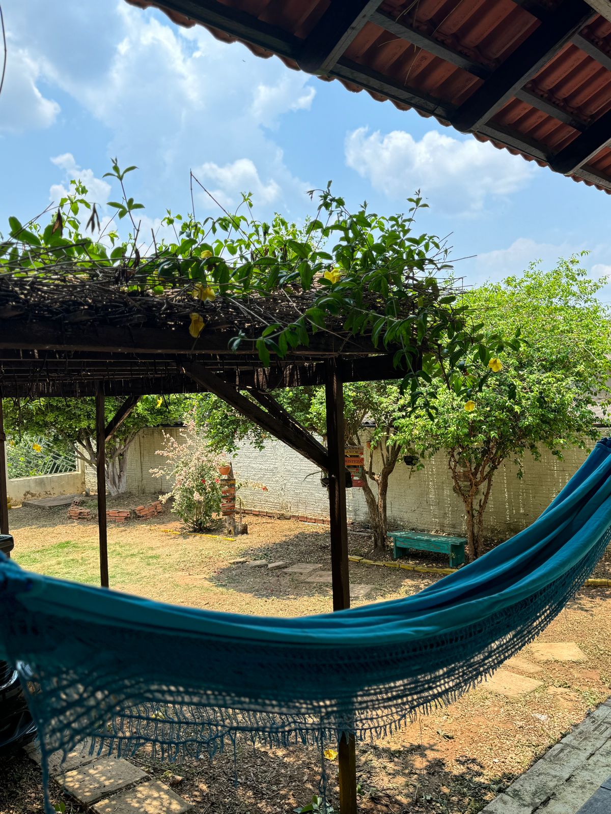 A cozy outdoor area features a hammock under a wooden structure, with lush green vines draping from the overhead. The garden displays various trees, including fruit-bearing ones, under a bright sky with scattered clouds. A stone path is visible on the ground.