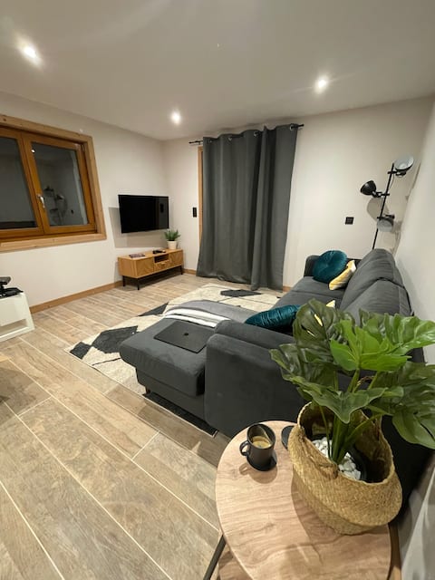 Airbnb performant: Modern apartment in Montriond. à Montriond