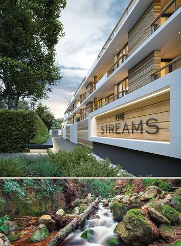 Modern Penthouse: Pool & Views in Leafy Newlands. gallery image 4