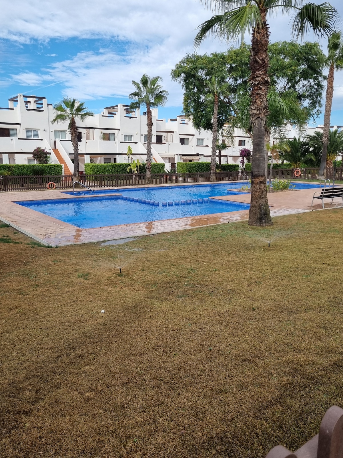 A clear blue swimming pool is surrounded by manicured grass and palm trees. Sun loungers are positioned nearby on the patio, while a row of decorative planters can be seen alongside the pool area. Residential buildings are visible in the background.