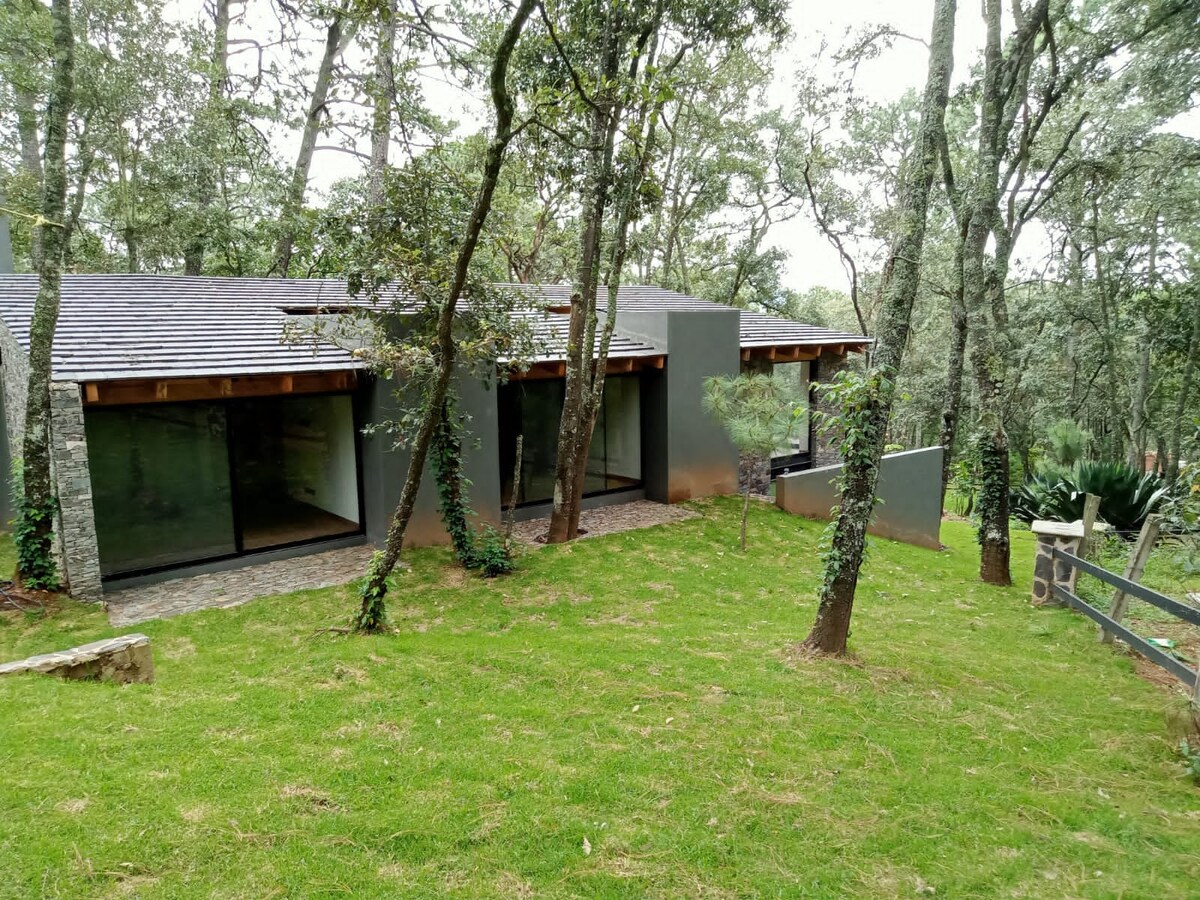 A modern cabin is nestled among lush greenery, featuring a mix of wooden and stone elements. Large glass windows provide views of the forest, while a well-maintained lawn surrounds the structure, enhancing the natural setting.