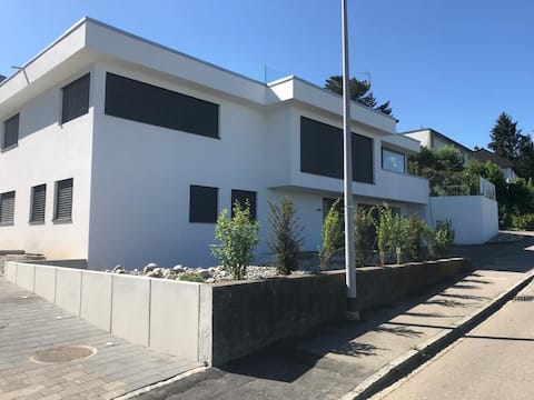 Big detached house Eurovision