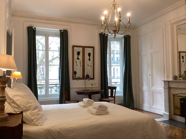 Le Roosevelt, appartement 100m2, dans le 6ème . gallery image 4