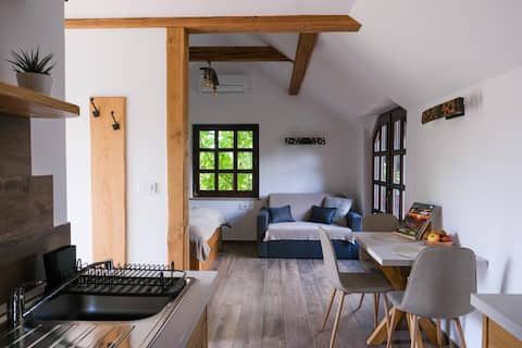 Brajda Cottage with Vineyard View