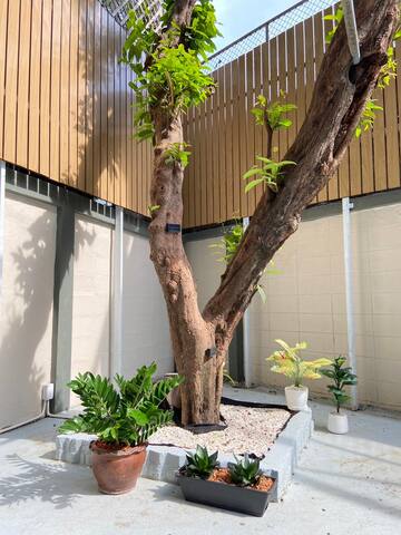 3 Brothers House Ekkamai gallery image 5