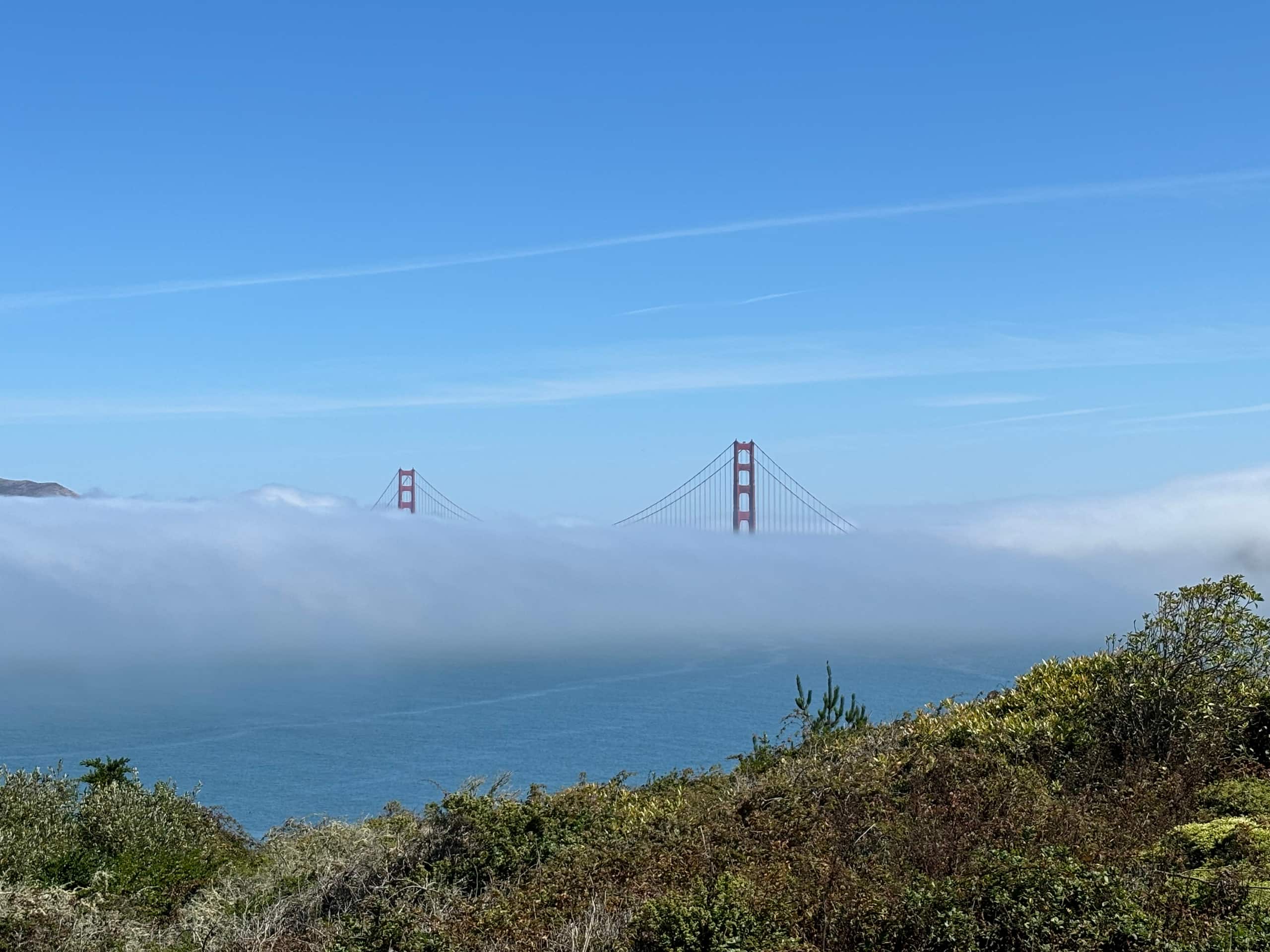 Home in San Francisco · ★4.97 · 1 bedroom · 2 beds · 1 bath - Image 27