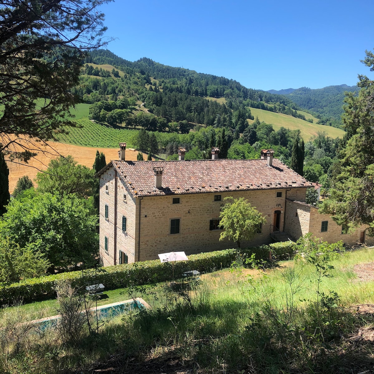 The exterior of a classic stone farmhouse is displayed, surrounded by lush greenery and rolling hills. The landscape features terraced fields, with vineyards visible in the distance. A swimming pool is situated in the foreground, framed by manicured hedges.