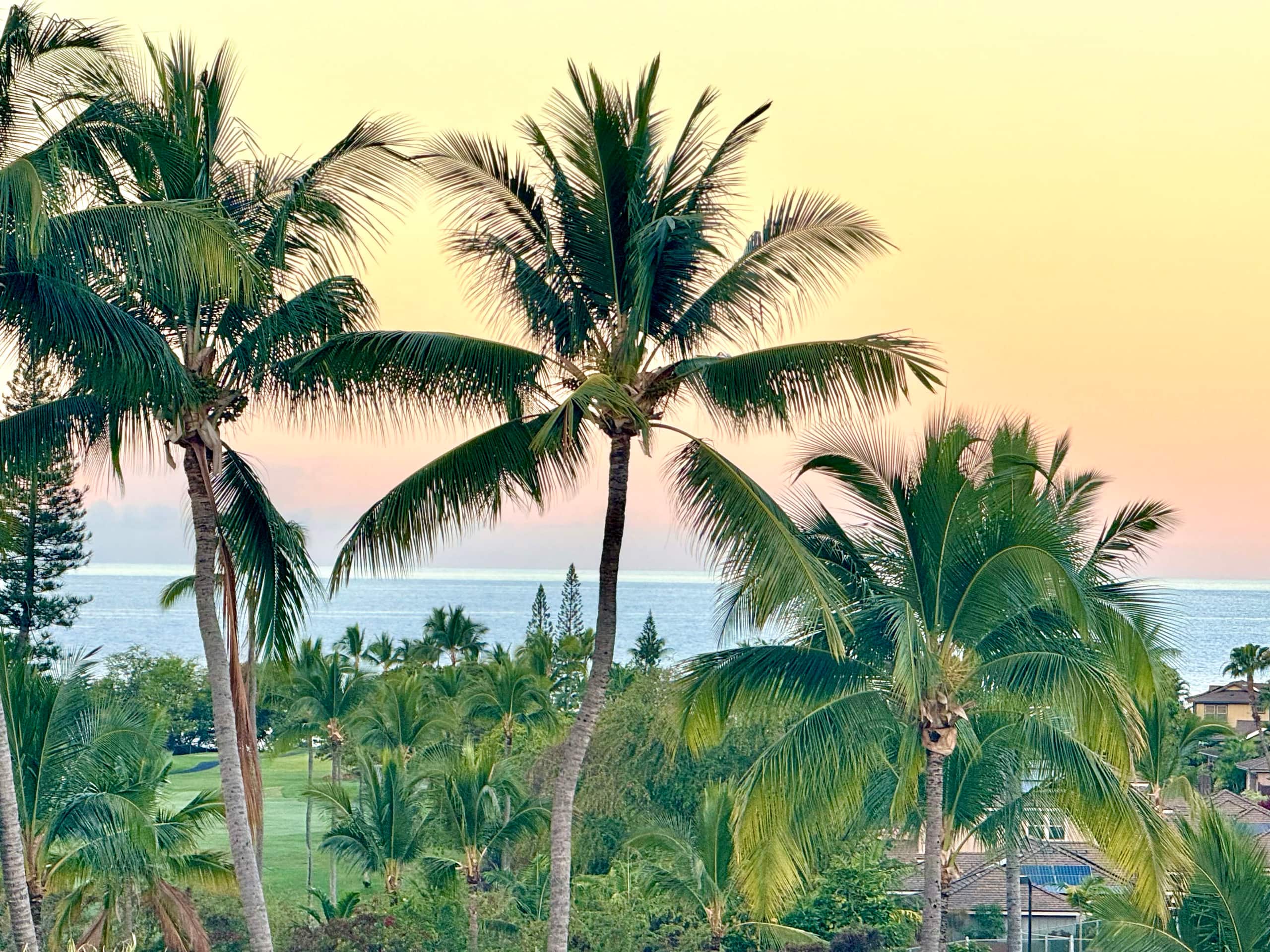 Condo in Kailua-Kona · ★4.89 · 3 bedrooms · 4 beds · 3 baths - Image 56