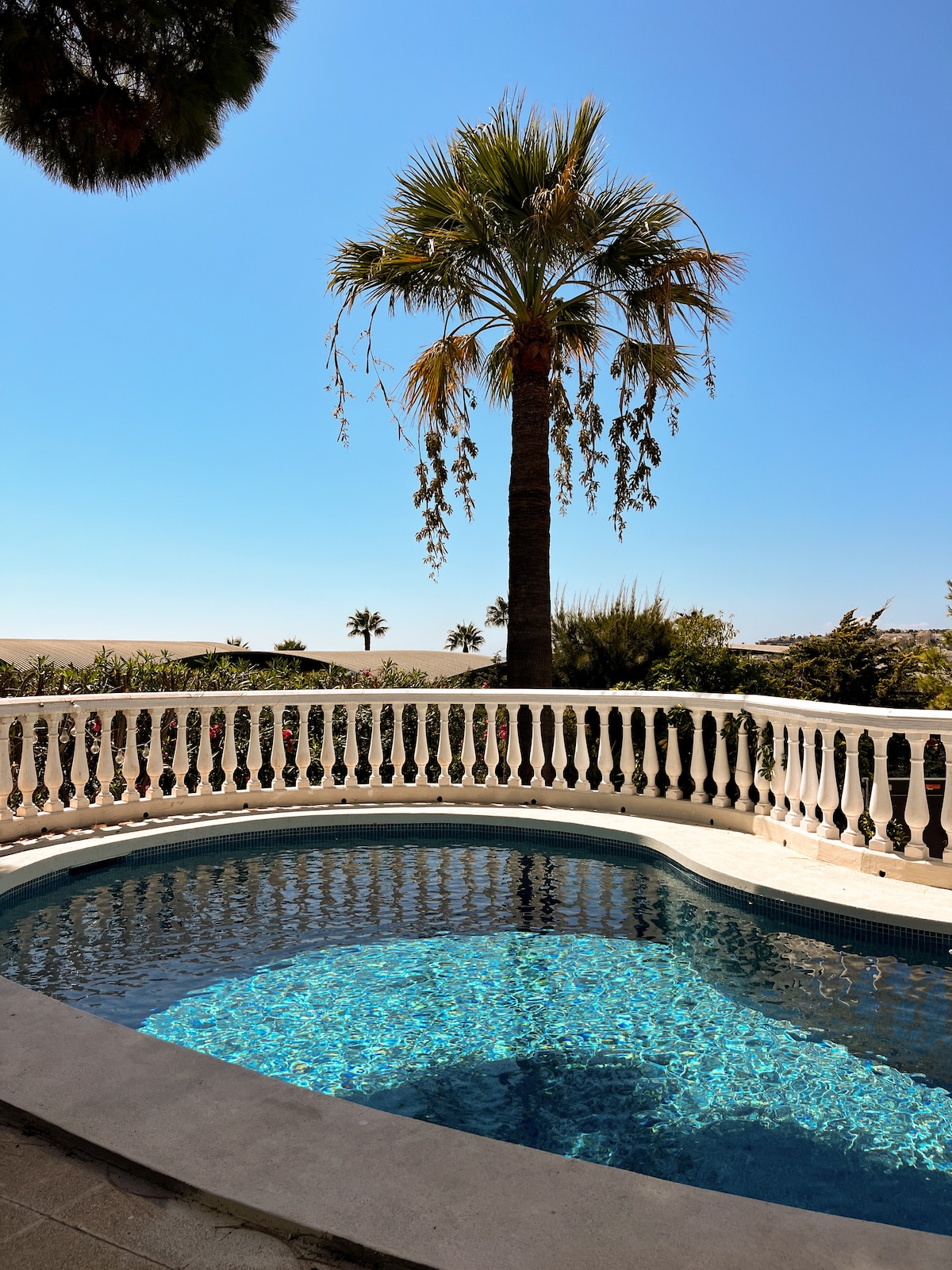 A private pool is situated among a well-maintained garden, featuring a surrounding white balustrade. A tall palm tree provides a tropical touch, while clear blue skies enhance the inviting atmosphere of the outdoor space.