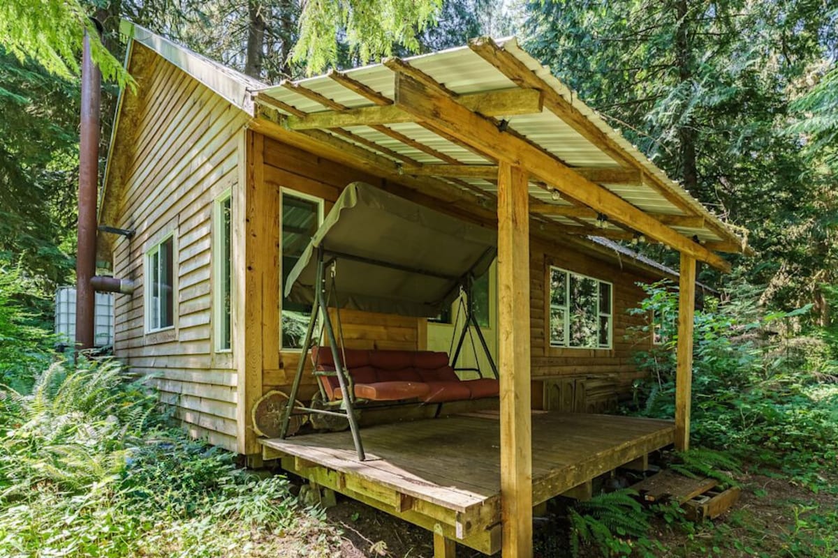 A wooden cabin nestled among lush greenery features a covered porch with a swing for relaxation. Large windows allow natural light to fill the interior, and a visible chimney indicates the presence of a wood stove. Surrounding trees provide a sense of seclusion.