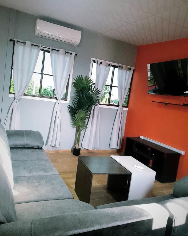 A comfortable living area features a grey sectional sofa and a sleek coffee table. Natural light enters through two windows dressed with white curtains. A tropical plant adds a touch of greenery, while a television is mounted on the wall opposite the seating.