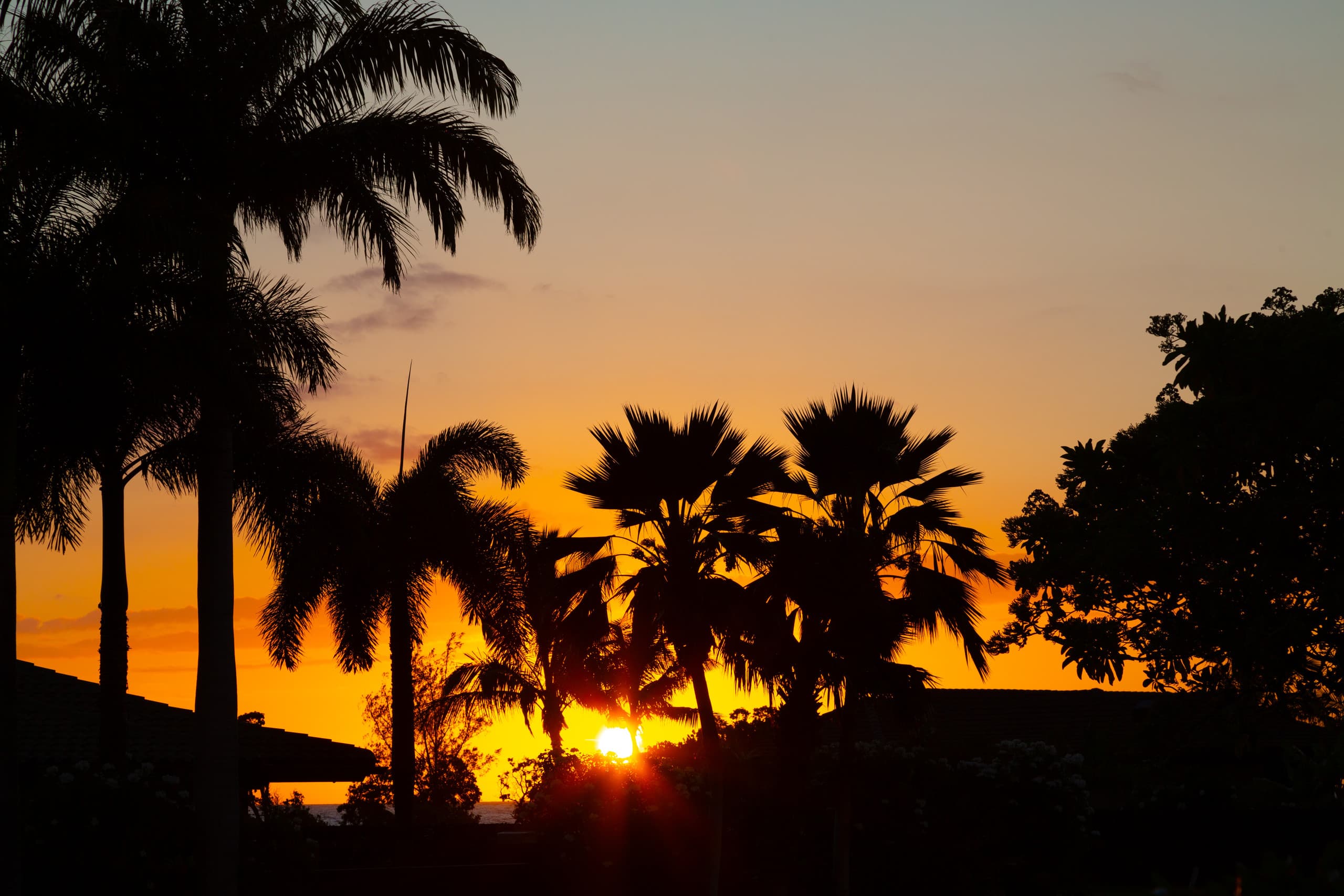 Home in Waikoloa Village · ★4.89 · 3 bedrooms · 5 beds · 3 baths - Photo 64