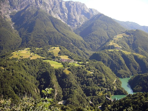 At the Sciresée, at the foot of the protected forest