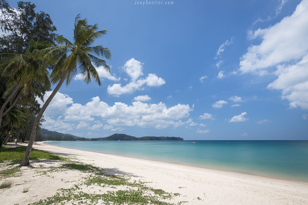 A serene beachscape featuring soft, white sand bordered by gentle waves. Lush green foliage lines the shore, with tall palm trees swaying in the breeze. The sky is clear, with a few fluffy clouds, creating a calm and tranquil atmosphere ideal for relaxation.