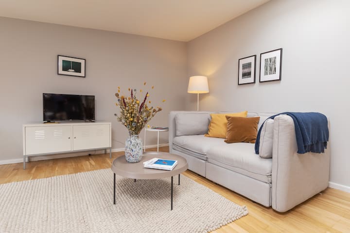 apartment 2_rooftop -downtown -2 rooms-55 sqm+terr