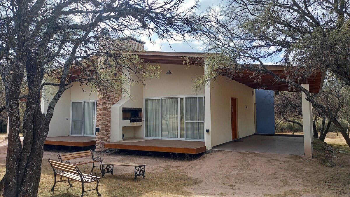 A modern single-story house is framed by trees, featuring a wide covered patio. Large glass doors provide ample natural light, while a stone accent wall adds visual interest. A set of decorative outdoor benches creates a cozy seating area in front of the home.