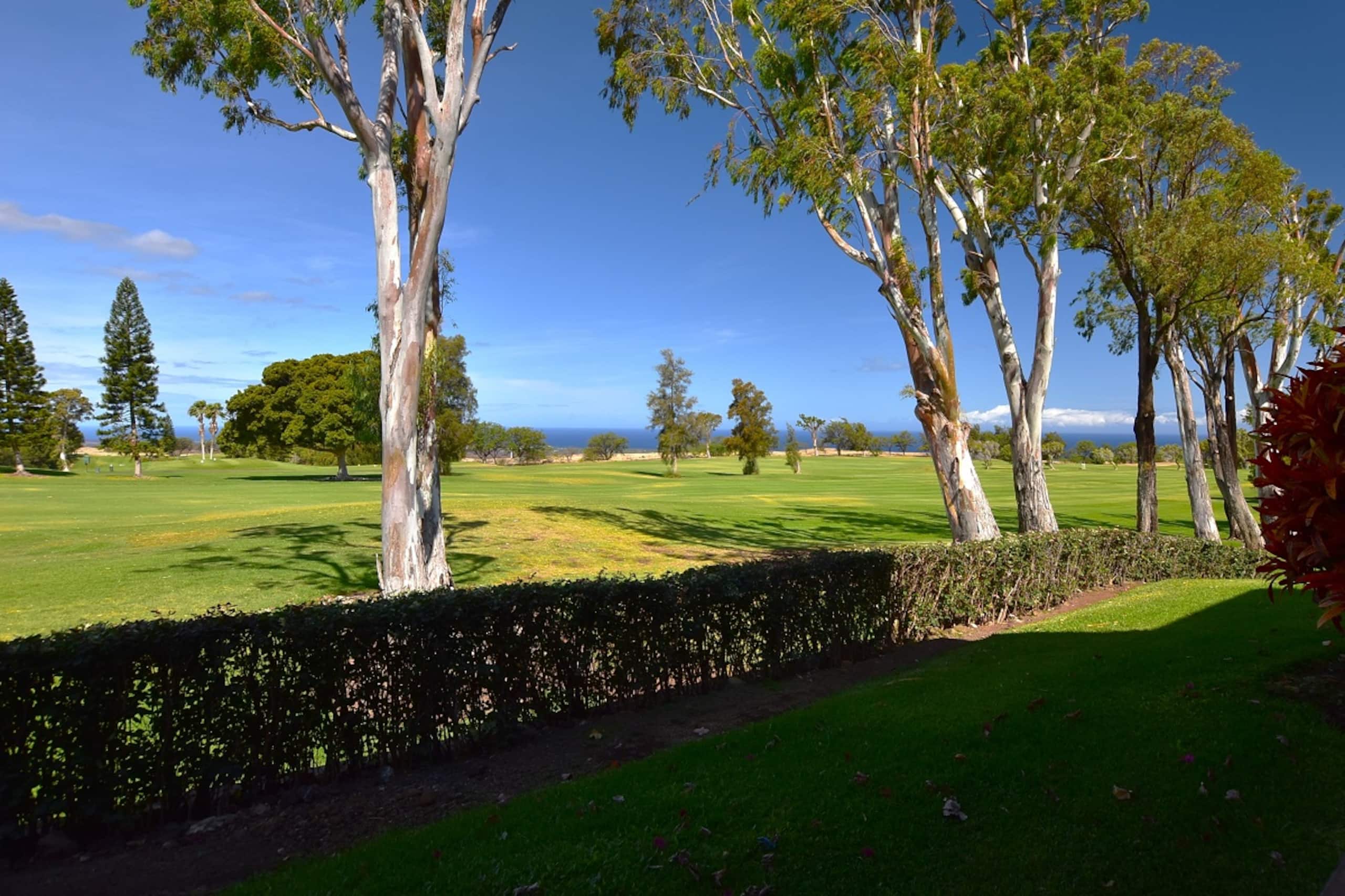 Single-Story Oasis with Ocean & Golf Course Views! - Main photo