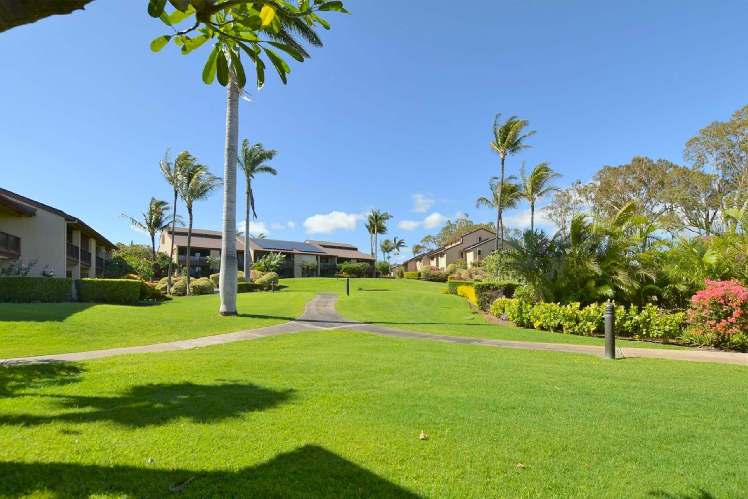 Single-Story Oasis with Ocean & Golf Course Views! - Photo 24