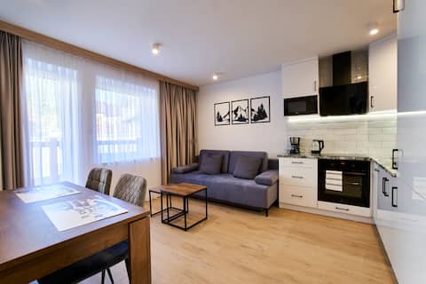 Comfort in the Center with balconies to the Mountains and the River