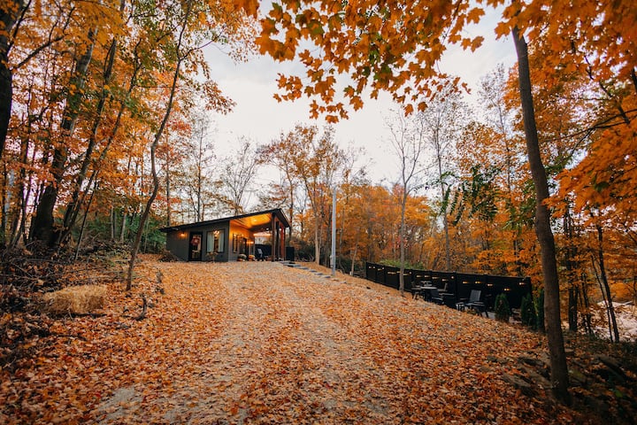 Hill Haus - Peaceful Cozy Cabin - Cabins for Rent in Danville