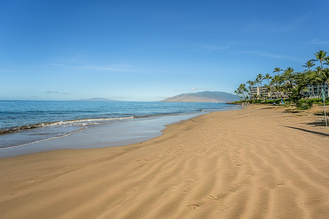 A sandy beach stretches toward the water, with gentle waves lapping at the shore. Palm trees line the coastline, providing shade. In the distance, mountains can be seen against a clear blue sky, enhancing the natural beauty of the area.
