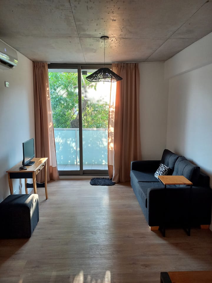 Two-bedroom apartment in Barracas with shared pool