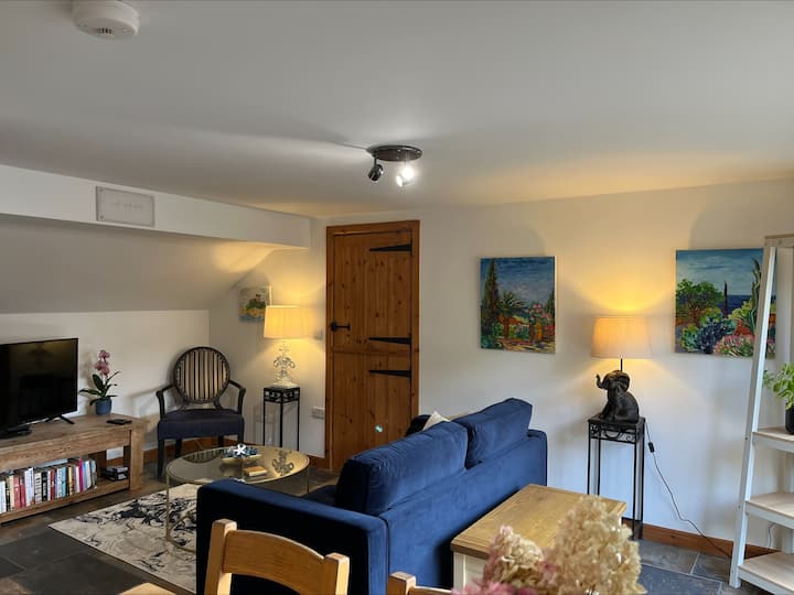 Një hapësirë e hapur me divan të madh dopio, TV, DVD player, batanije të rehatshme, një përzgjedhje librash dhe DVD. 