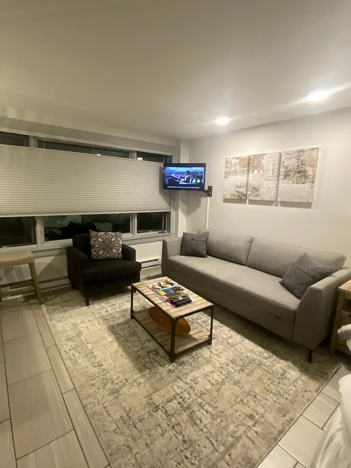 Ski In/ski Out Updated Studio - Breckenridge, CO