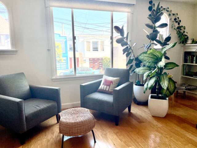 Classic house near the Golden Gate Park