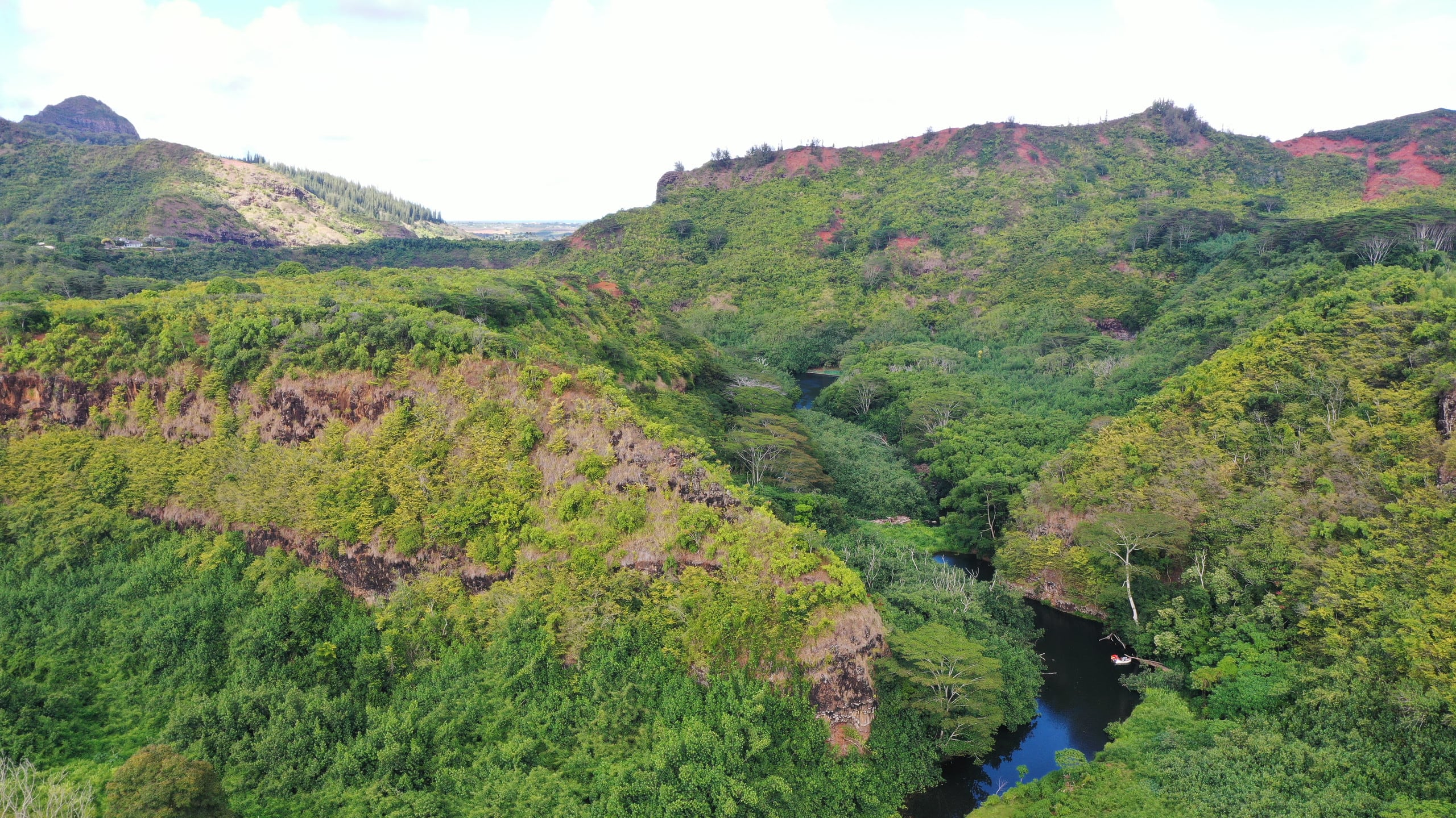 Home in Kapaa · ★4.96 · 2 bedrooms · 2 beds · 2 baths - Image 20