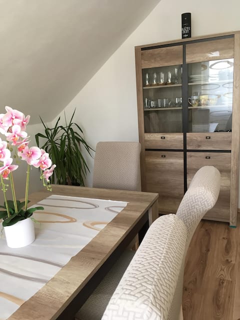 Lovely old building apartment