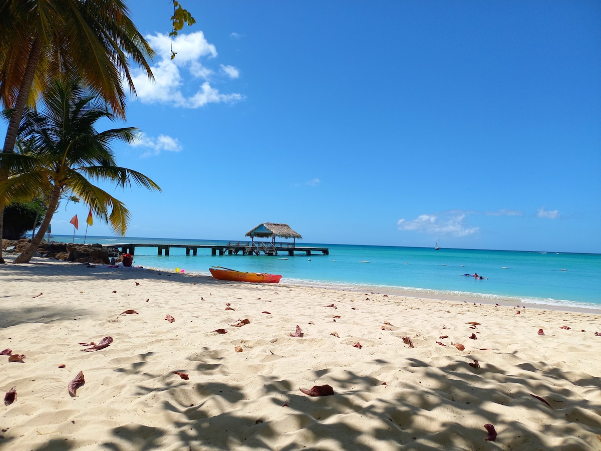 A sandy beach stretches towards the clear turquoise waters, dotted with scattered leaves. A wooden dock extends into the ocean, featuring a thatched roof pavilion. A kayak rests on the shore, while a few individuals can be seen enjoying the water on a sunny day.