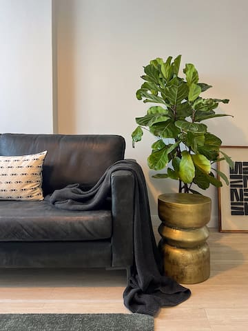 2-Bed De Waterkant Gem! No Loadshedding! gallery image 5