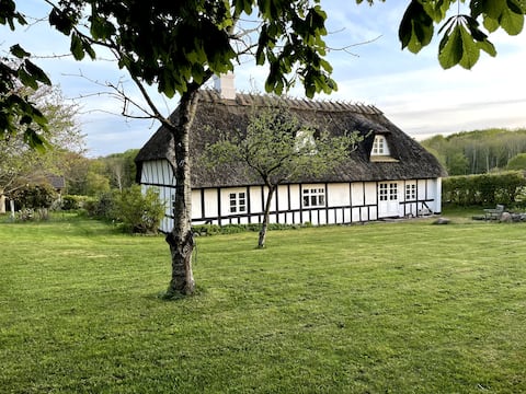 Charming, thatched country house