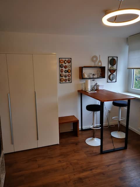 Modern 1-room apartment