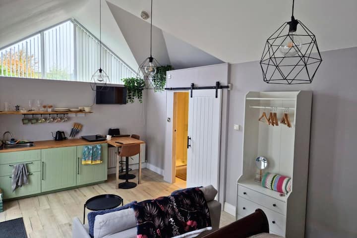 Cozy Retreat Near Dublin City Centre & Airport - Dublin