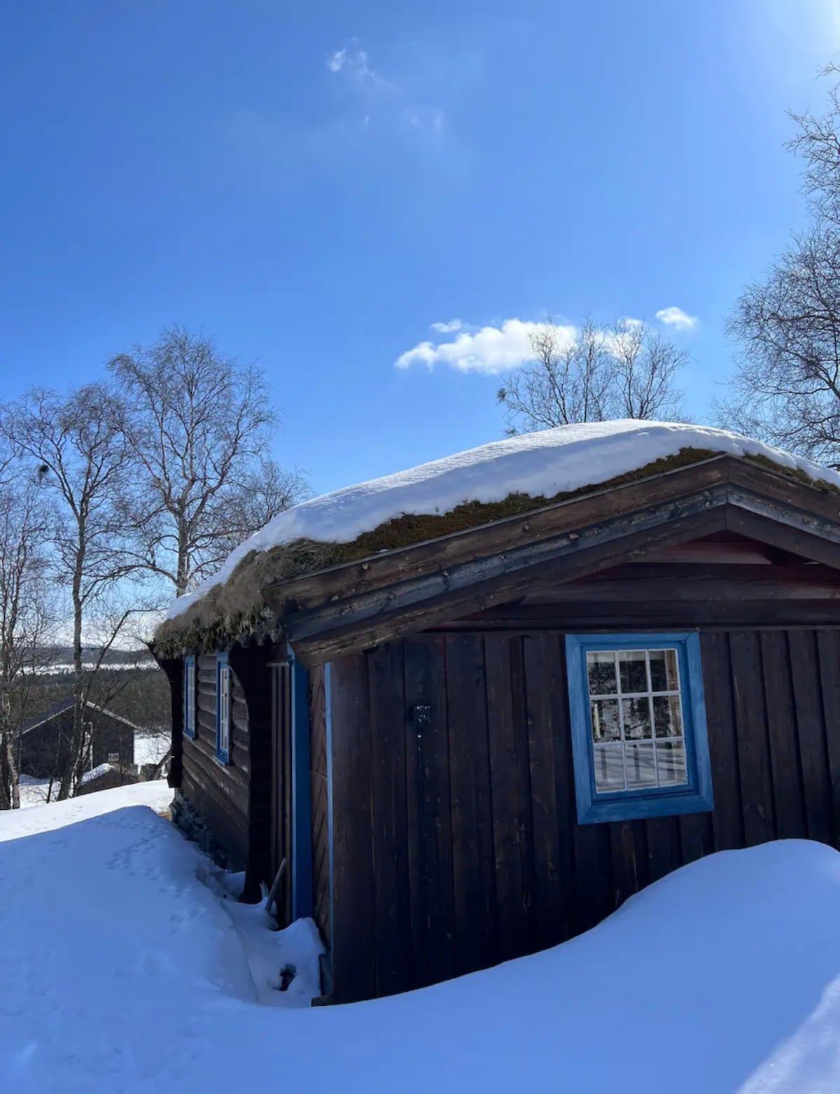 A wooden cabin with a grass-covered roof is framed by a bright blue sky. Snow blankets the ground around the structure, while a window with blue trim invites natural light. Leafless trees stand nearby, adding to the wintery atmosphere.