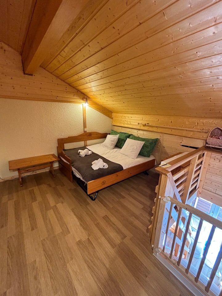 Appartement Style Montagnard - Le Bourg-d'Oisans