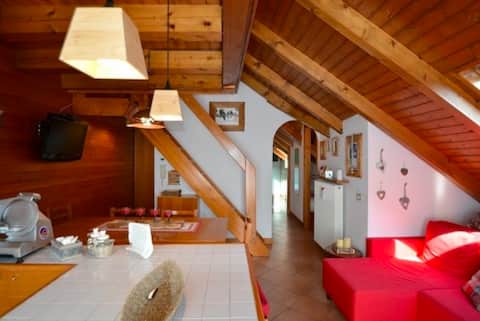 Belvedere Apartment, a peaceful corner in Asiago