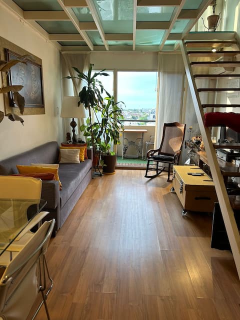 Successful Airbnb property: A beautiful apartment in Jaramillo in Saavedra