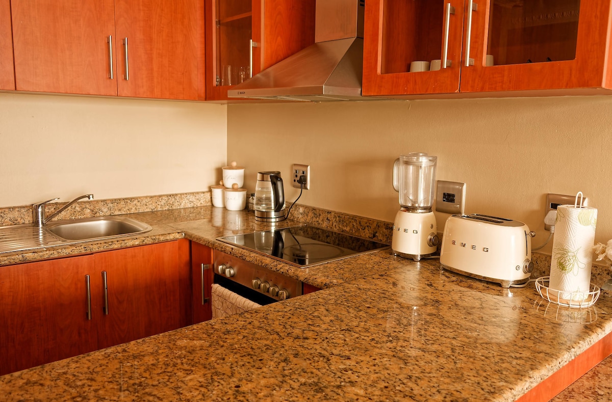 A contemporary kitchen is equipped with wooden cabinetry and a granite countertop. Stainless steel appliances, including a stove, kettle, and blender, are neatly arranged alongside a toaster. Dishware is placed on a shelf, creating a functional and organized cooking space.